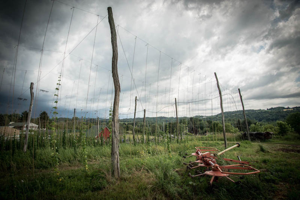 Foothills Hops Farm